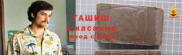 прущие грибы Аркадак