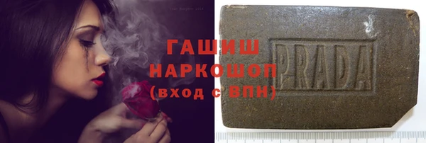 прущие грибы Аркадак