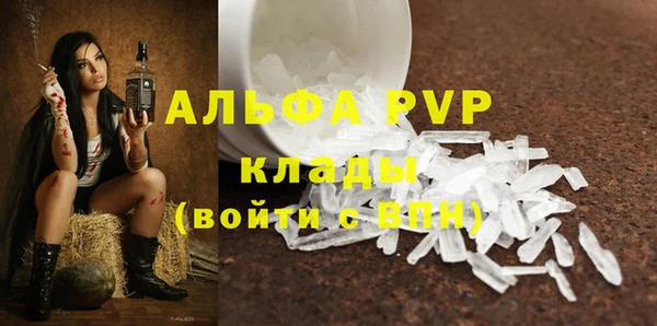 прущие грибы Аркадак