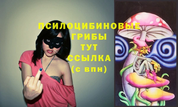 прущие грибы Аркадак